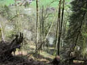 5erl BSV Avalon 2019 Bild 34