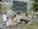 15. Glemmerhofturnier 2019 Bild 117