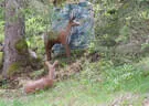 15. Glemmerhofturnier 2019 Bild 141