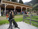 7. Turnier der BSU St. Veit 2019 Bild 3