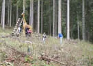 7. Turnier der BSU St. Veit 2019 Bild 41