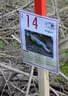 17. Dolomitenturnier 2019 Bild 146