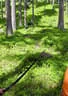 17. Dolomitenturnier 2019 Bild 157