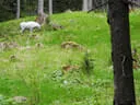 17. Dolomitenturnier 2019 Bild 161