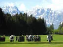 17. Dolomitenturnier 2019 Bild 8
