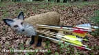 TLM/TM WA Scharnitz 2019 Bild 23