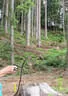 TM IFAA 3D Lakota 2019 Bild 23