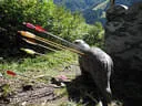 Salzburger LM 2019 Bild 80