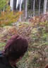5erl Bowfire Schörhof 2019 Bild 110