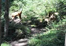 Weberbauerchallenge 2020 Bild 55