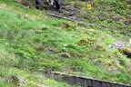 BSV Glemmerhof 2022 Bild 60
