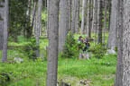 L 100 /2022 Bild 39