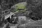 Vereinsausflug Planneralm Bild 113