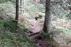 Weberbauerchallenge 2022 Bild 21
