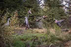 Impressionen Sommer 2022 Bild 12