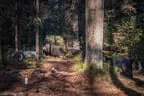 Impressionen Sommer 2022 Bild 40