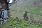 2. Bruggeralmchallenge 2023 Bild 111