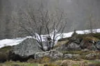 2. Bruggeralmchallenge 2023 Bild 80