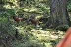 Jubiläumsturnier BSC Rietz 2023 Bild 86