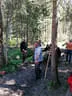 Parcoursumbau Sommer 2024 Bild 38