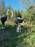 Parcoursumbau Sommer 2024 Bild 55