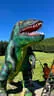 VA 2024 Stoneface Bild 84