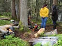 Sommerumbau 2025 Bild 18