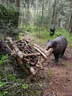Sommerumbau 2025 Bild 39