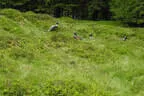 30. Sonnblickturnier Rauris 2025 Bild 27