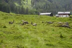 30. Sonnblickturnier Rauris 2025 Bild 28
