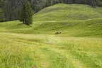 30. Sonnblickturnier Rauris 2025 Bild 54