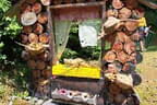 2025 Ausflug Killerbienen Bild 21