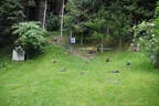 2025 Ausflug Killerbienen Bild 3