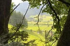 2025 Ausflug Killerbienen Bild 36