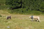 Stallersattelchallenge 2025 Teil 1 Bild 46