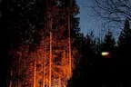 Putzdunkl 2025 Bild 79