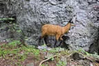 Vereinsausflug Ritten Bild 123