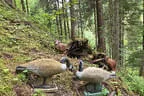 Vereinsausflug Ritten Bild 25