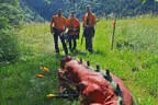 Vereinsausflug Ritten Bild 97