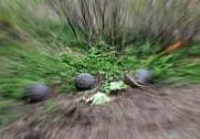 Bachwinkelchallenge 2014