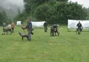 19. Int. Jagd. Waidring