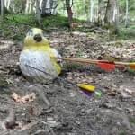 5erl-Turnier-beim-BSV-Avalon 5erl-Turnier-beim-BSV-Avalon