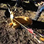 16.-Saalfeldener-Winterturnier-2025 16.-Saalfeldener-Winterturnier-2025