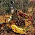 Parcours-wieder-offen Parcours-wieder-offen